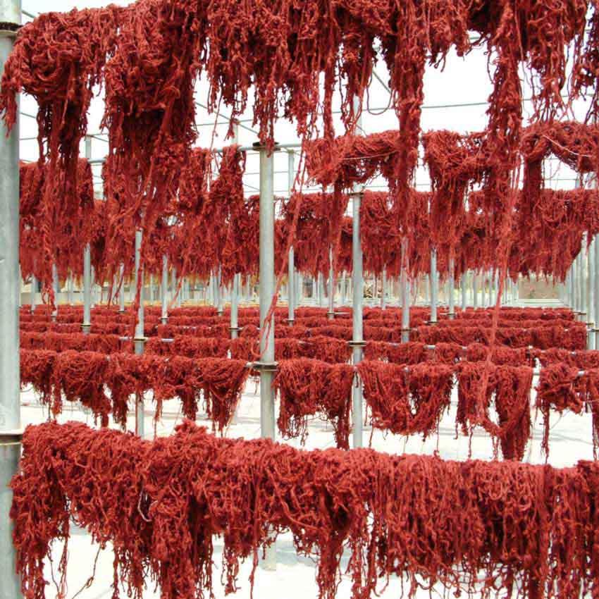 Drying wool
