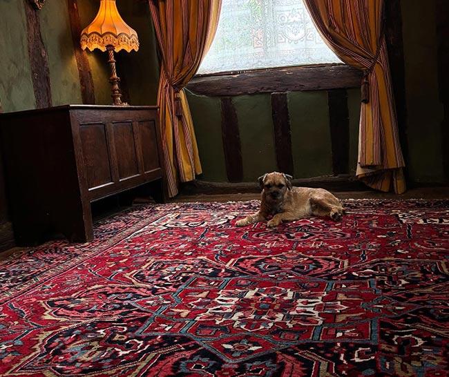 The Rug & Carpet Studio – Serving Hertfordshire and the Surrounding Areas
