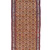 Caucassian Runner c.1900