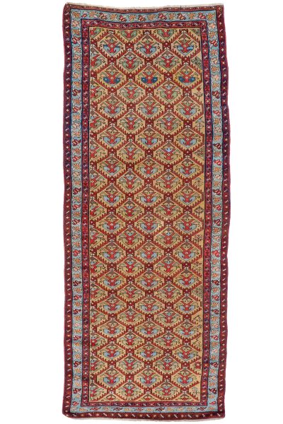 Caucassian Runner c.1900