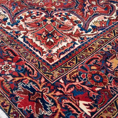 Ahar Carpet