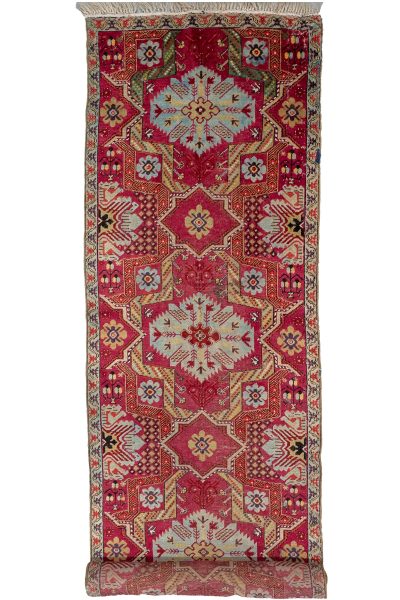 Caucasian Runner