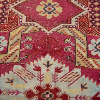 Caucasian Runner